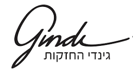 גינדי החזקות